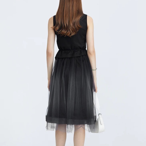 Stacked Neckline Mesh Sleeveless Dress (NWOT) - Picture 5 of 7